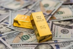 How precious metals trading platforms adapt to changing market demands: A functional analysis from market data tools to account management.